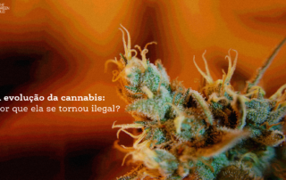 A evolução da cannabis: por que ela se tornou ilegal?