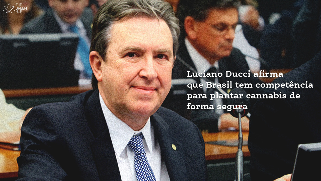 Luciano Ducci afirma que Brasil tem competência para plantar cannabis de forma segura