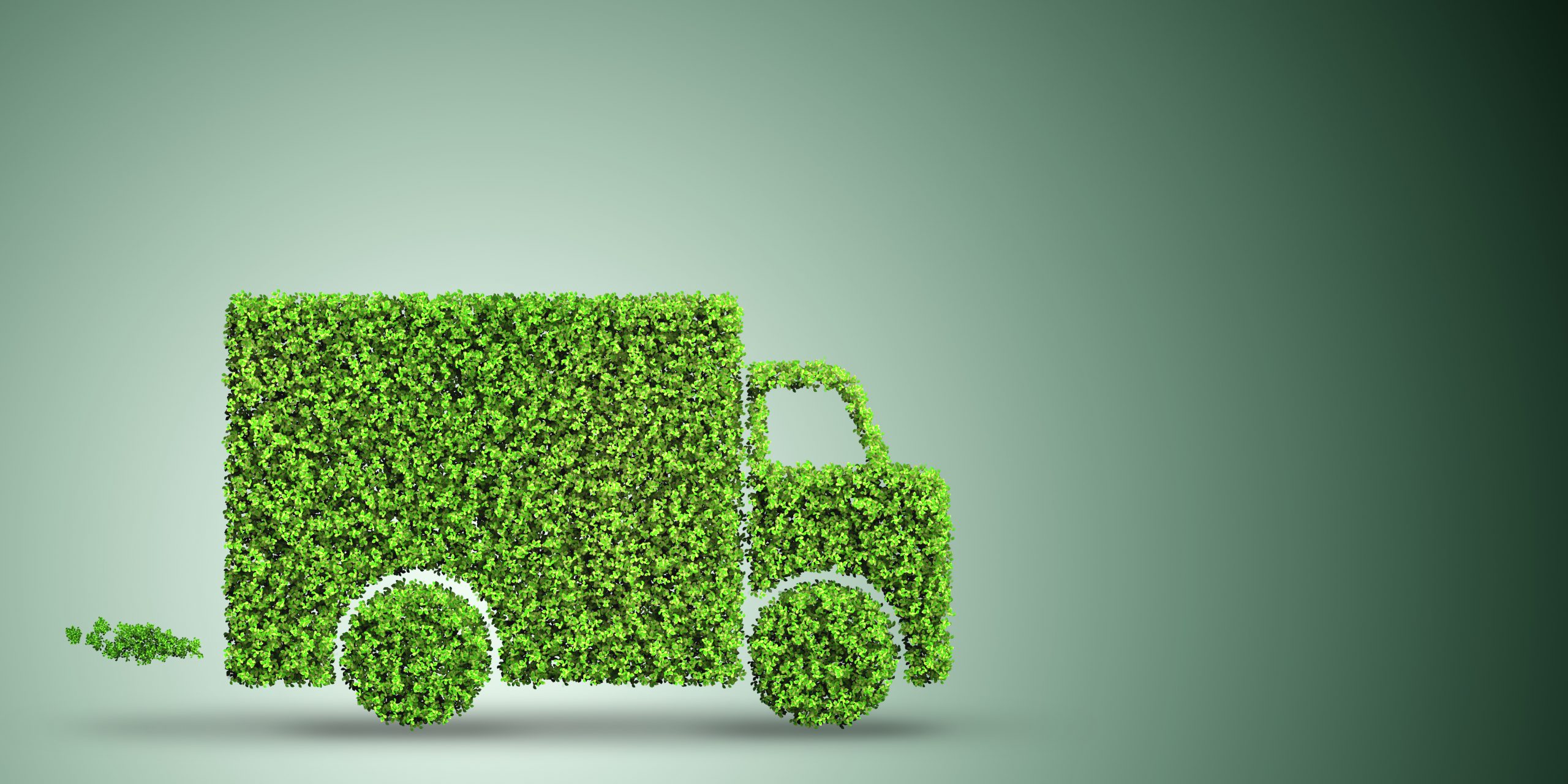 Biocombustível de cânhamo: uma alternativa sustentável